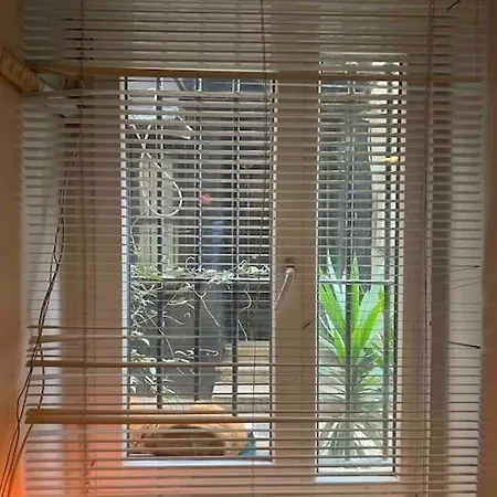 Appartement Cozy Flat Near Galata Tower And Metro Station Istambul